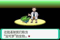 口袋妖怪绿宝石中文版图2