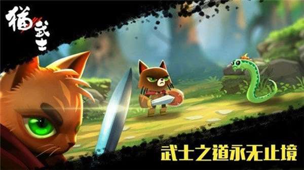 猫武士 图3