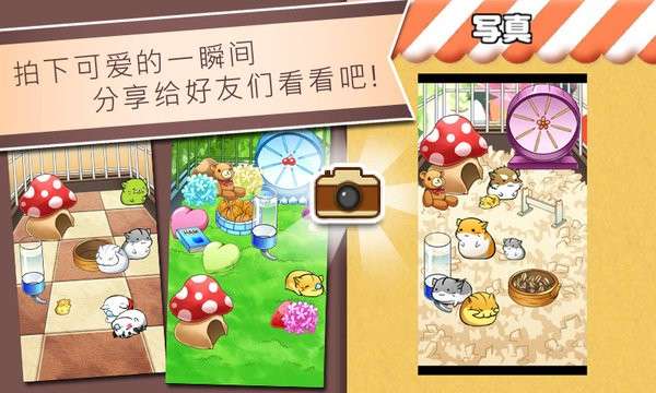 仓鼠的日常游戏图1