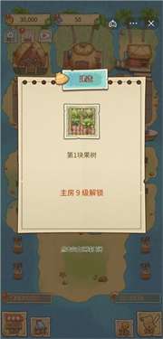 外婆的小农院海岛生活图3
