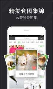 全自动壁纸图1