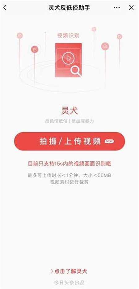 今日头条灵犬图1