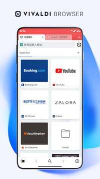 Vialdi浏览器图1