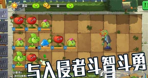 植物僵尸大作战图3