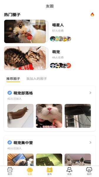 友猫社区图2
