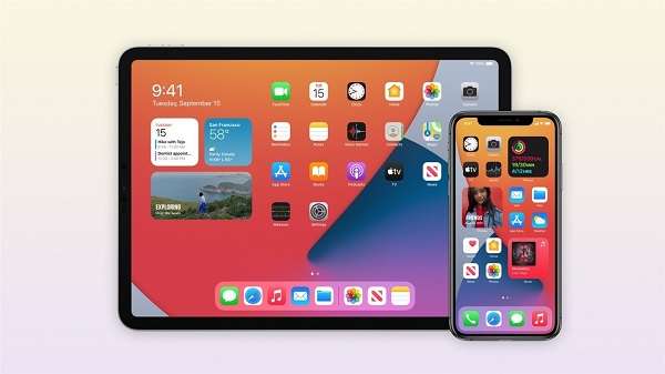 ios14.2开发者描述文件图2