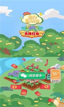 满天星农场图1