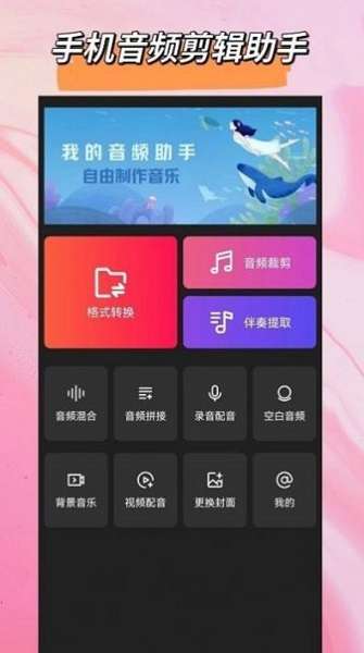 音频格式转换大师 图2