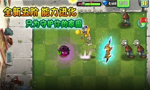 别打植物图1