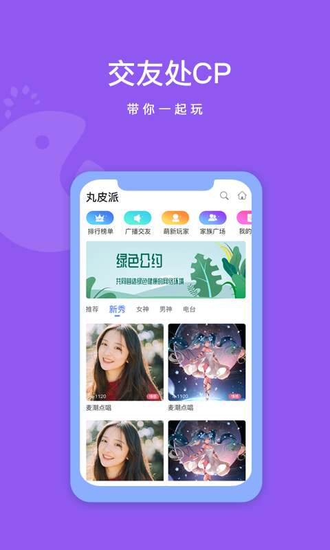 丸皮派图1