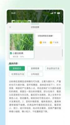 耘苗拍图2