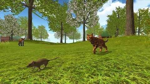 猫咪生存探险图3