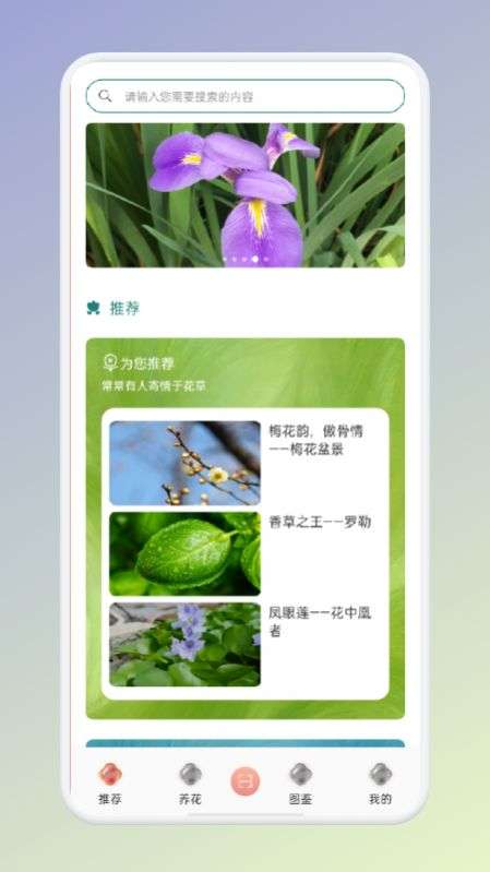 拍照识花识别植物图3