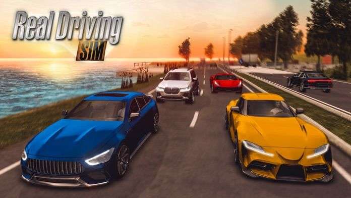 RealDrivingSim图2