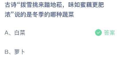 古诗“拨雪挑来踏地菘，味如蜜藕更肥浓”说的是冬季的哪种蔬菜？