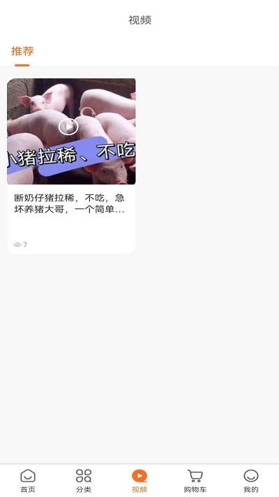养猪1+1图2