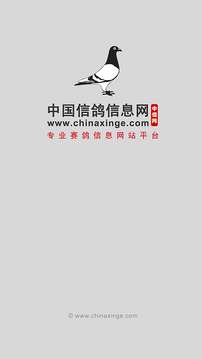中国信鸽信息网图1