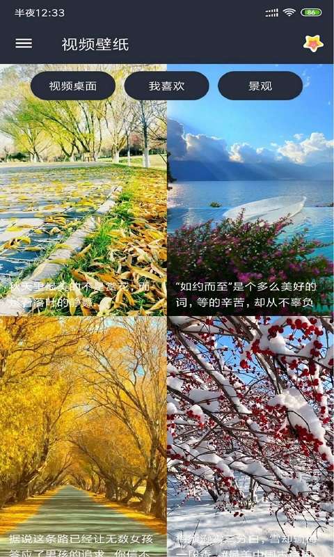 安果视频壁纸免费版图2