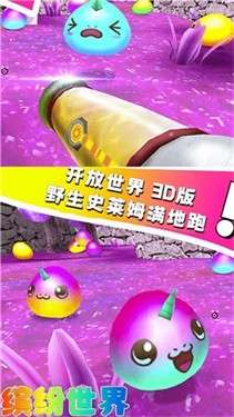 缤纷世界图3