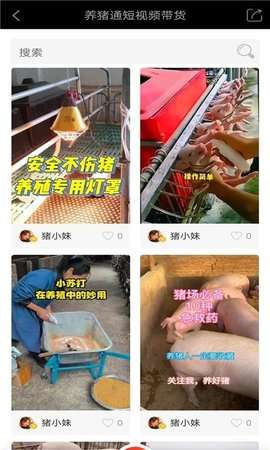 养猪通图1