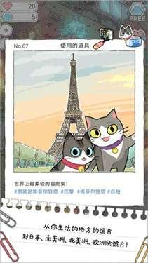 猫猫的旅行图1