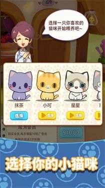 养只大肥猫图3
