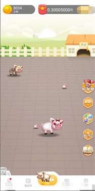 村长养猪场图3