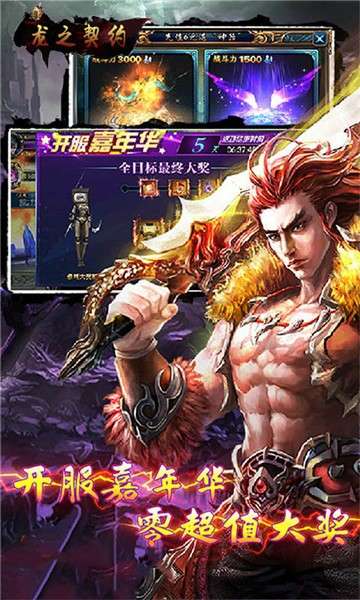龙之契约英雄争霸图5