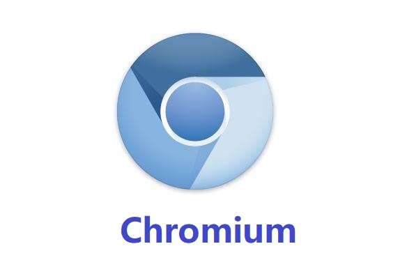 Chromium浏览器纯净清爽版图3