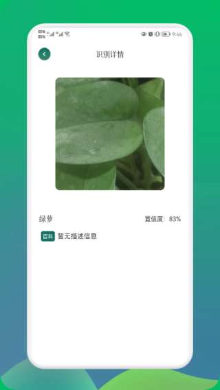 小园丁最新图3