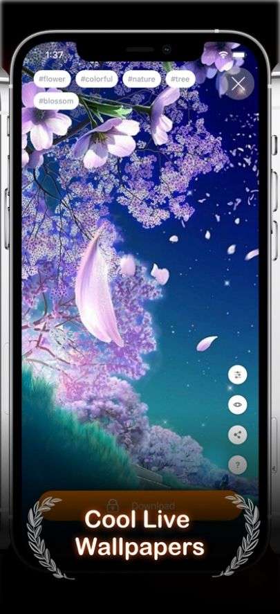 AirLive图3