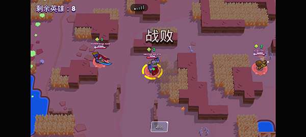 荒野乱斗私人 图3