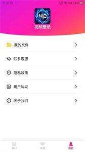 视频壁纸之家图2
