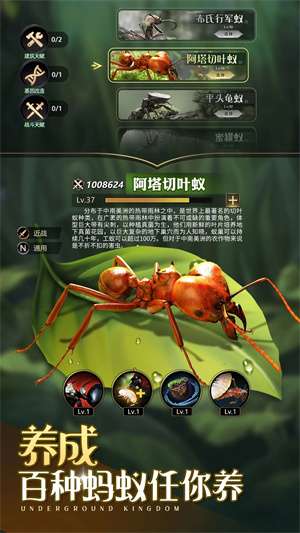 小小蚁国全新赛季无垠荒野来袭图1