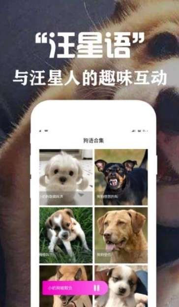 狗语翻译交流器app图1