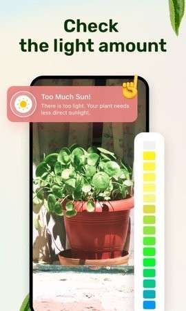 Plant Parent图1