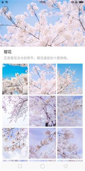大脚壁纸图3
