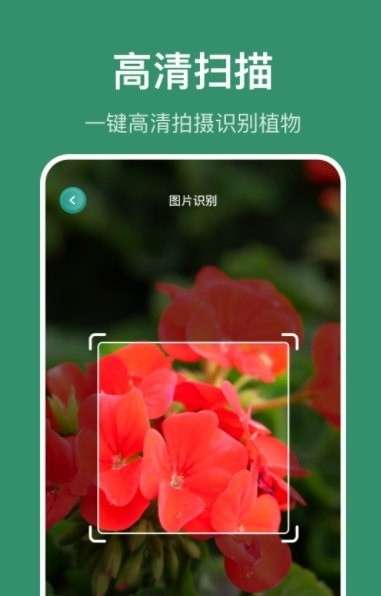 花仙识花草图2