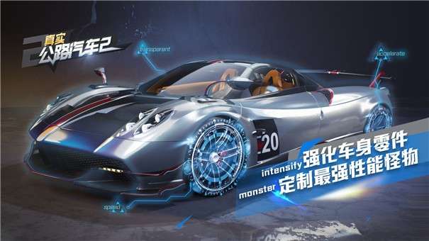 真实公路汽车2手机版图2