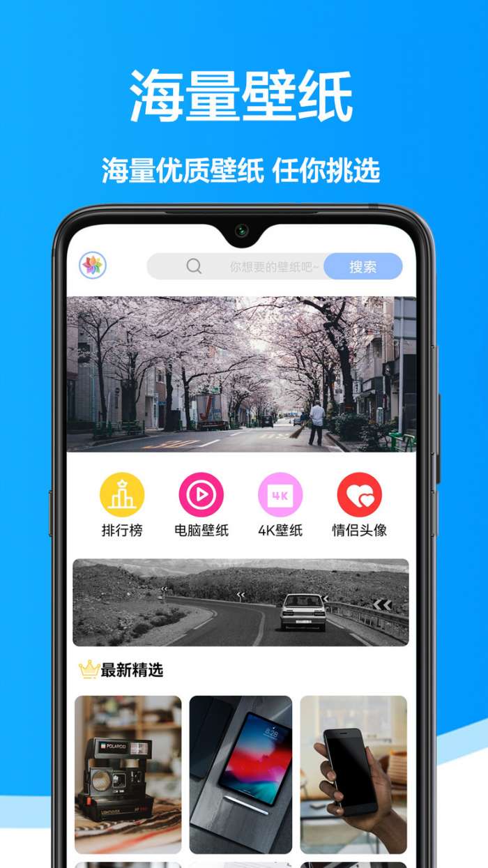 手机壁纸君图1