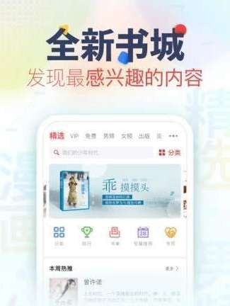 亲亲小说图1