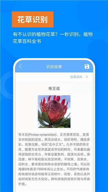 洋果证件照扫描王图1
