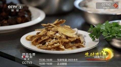 CyberTV图2