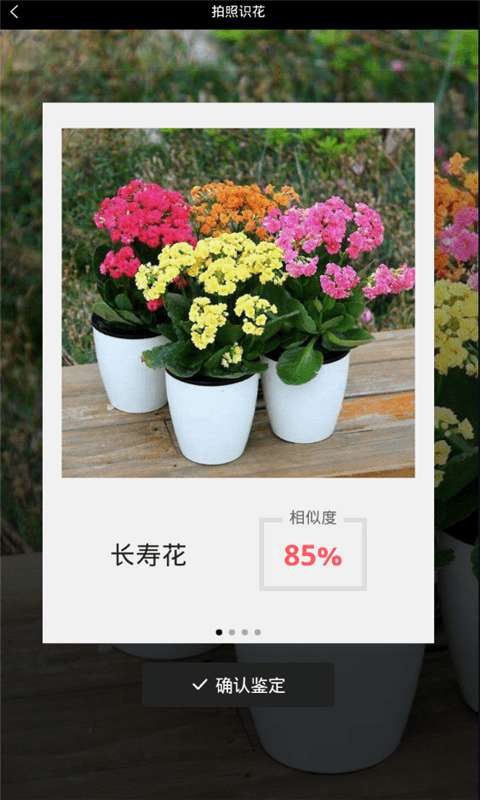 识花神器图4