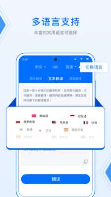DeepL图1