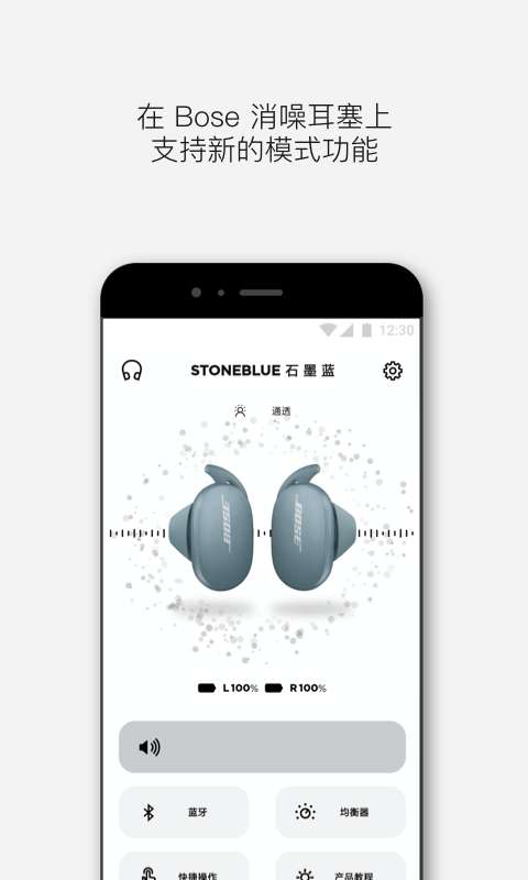 Bose音乐图1