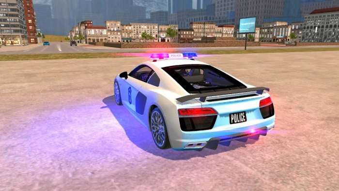R8警察模拟器图3