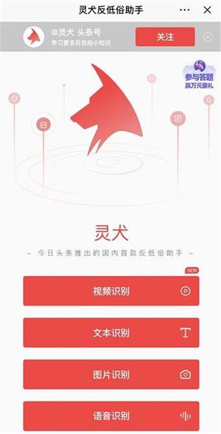 今日头条灵犬图2