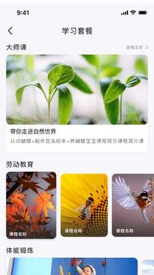 自然树图1