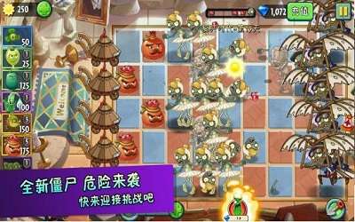 花花也疯狂图3